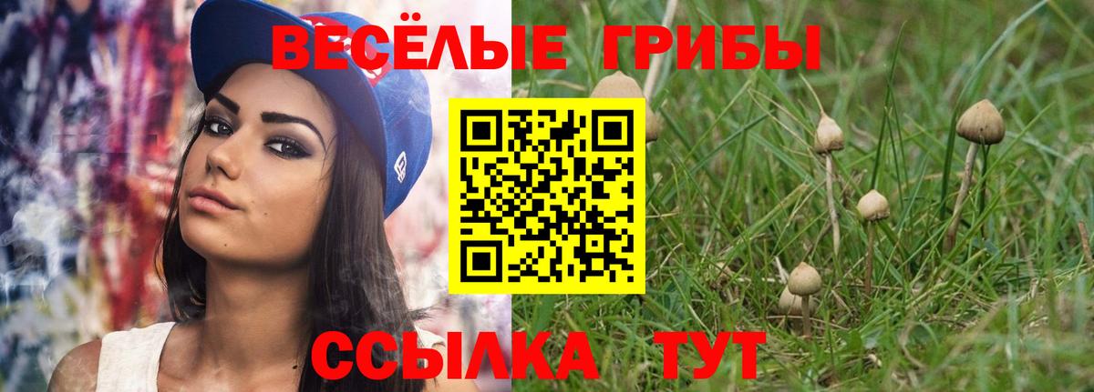 Выкса  Псилоцибиновые грибы MAGIC MUSHROOMS  Вход с VPN 